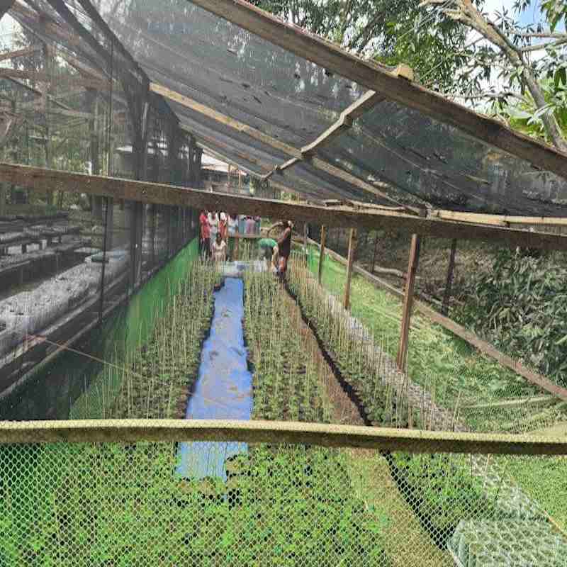 13 - Samal nursery 06 -20.09.24 - 800 x 800