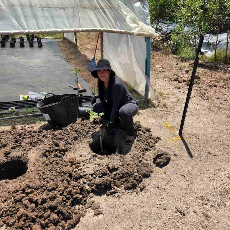 16 - Seedling Planting 800x800 20241022 - 01
