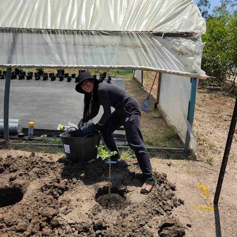 17 - Seedling Planting 800x800 20241022 - 02