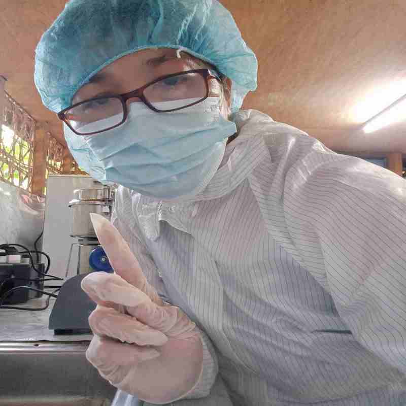 73 - Samal Processing