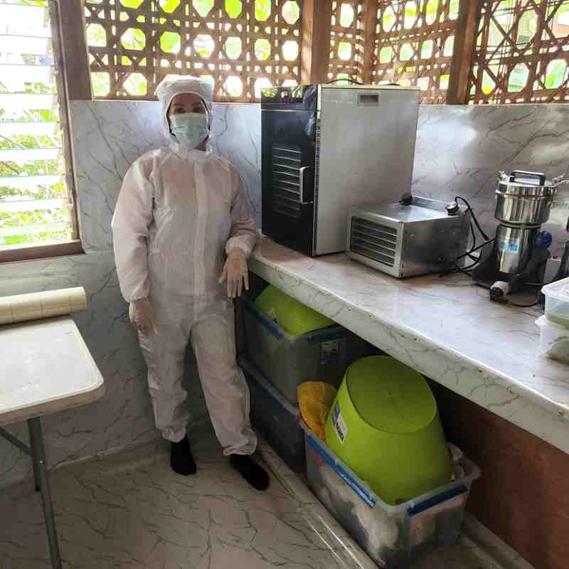 73a - Samal Processing