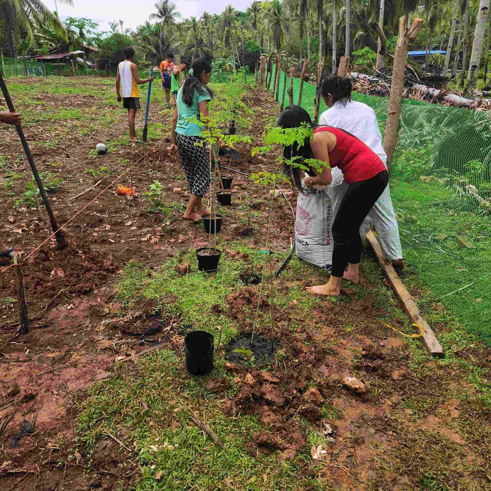 24.04.24 - samal-moringa-planting 800x800-08
