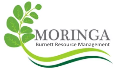 BRM-Moringa-Logo-01 Investor Ready