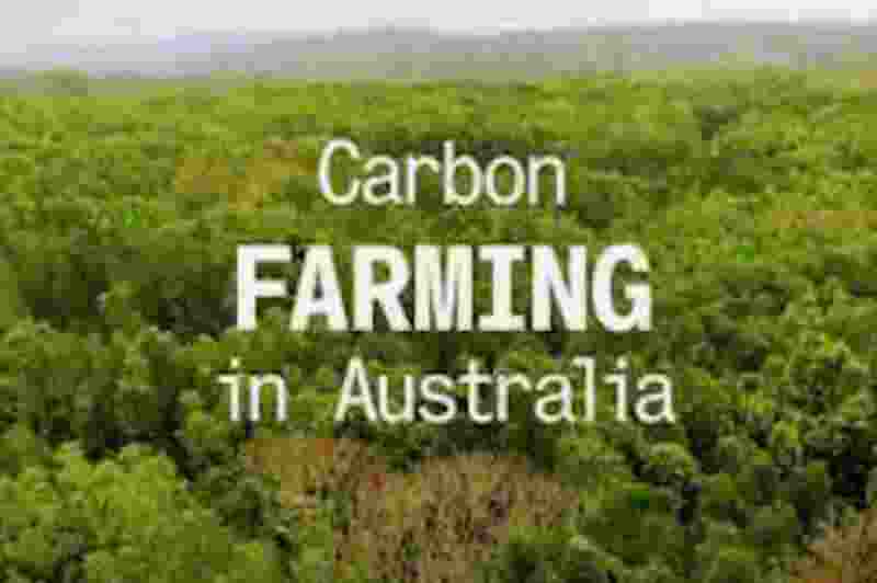 Carbon Farming Aussie-800x532