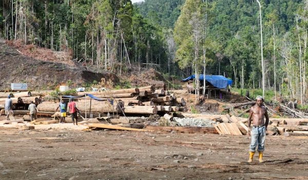 png-deforestation-01 BRM Carbon Solutions